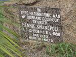 SWANEPOEL Hennie 1956-1998
