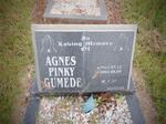 GUMEDE Agnes Pinky 1963-2003
