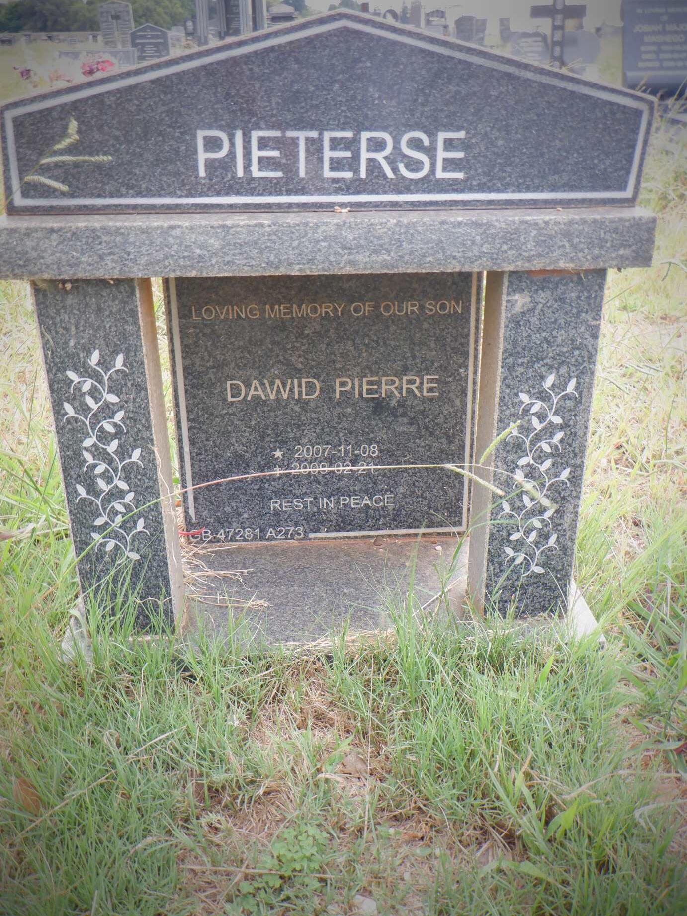 PIETERSE Dawid Pierre 2007-2009