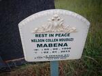 MABENA Nelson Collen Mduduzi 1998-2013