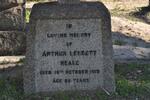 NEALE Arthur Leggett -1919