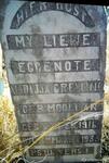 Mpumalanga, ERMELO district, Davel, Brakfontein_2, farm cemetery