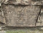 HALL Sydney Ashley -1891