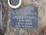 MNYANDE Andile Zukisa 1953-2009