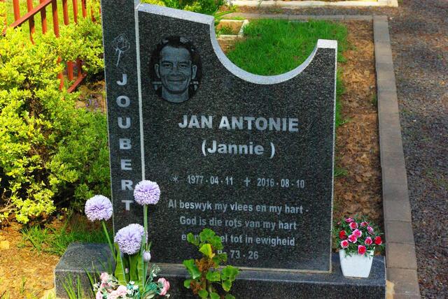 JOUBERT Jan Antonie 1977-2016