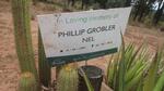 NEL Phillip Grobler 1999-2019