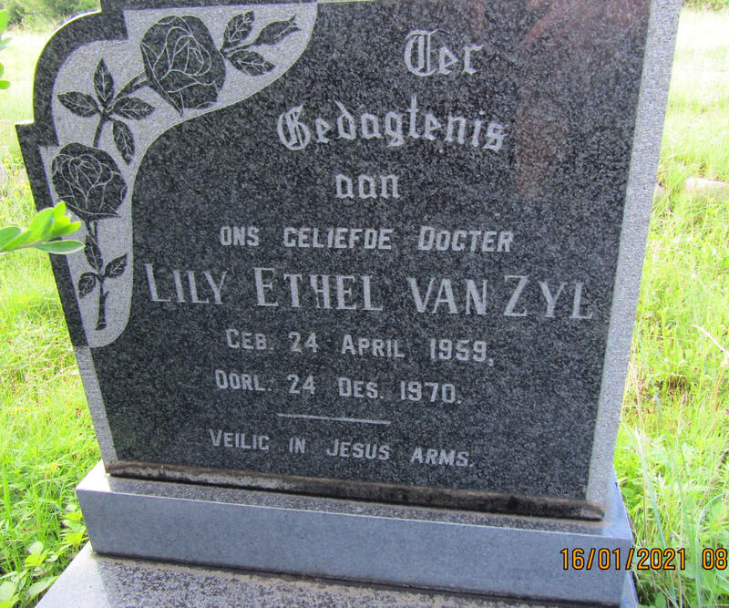 ZYL Lily Ethel, van 1959-1970