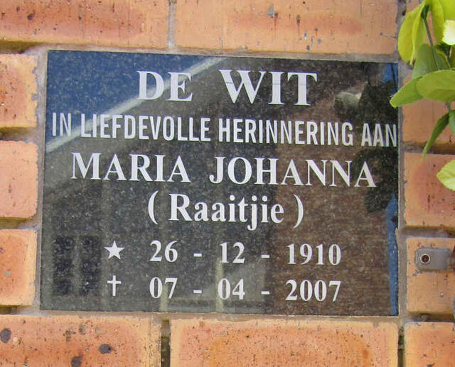 WIT Maria Johanna, de 1910-2007