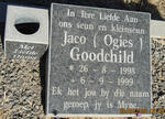 GOODCHILD Jaco 1998-1999