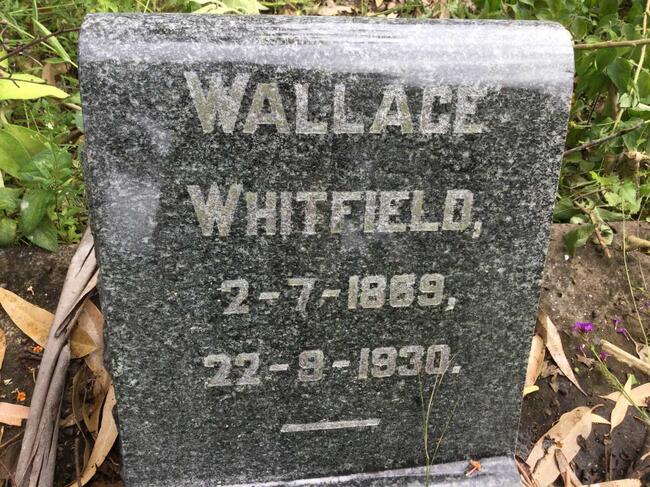 WHITFIELD Wallace 1869-1930