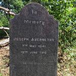 ABERNETHY Joseph 1841-1910