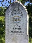 MCGILL Annie 1845-1919