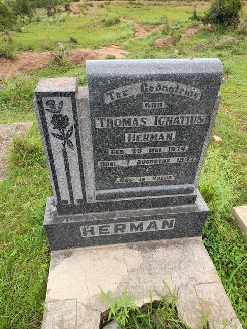 HERMAN Thomas Ignatius 1874-1943
