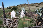 Eastern Cape, MIDDELBURG district, Schoombee Station, Vrees Fontein 44, farm cemetery