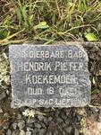 KOEKEMOER Hendrik Pieter