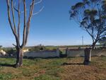 Western Cape, HEIDELBERG district, Dassenklip 395, farm cemetery