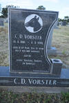 VORSTER C.D. 1981-1996