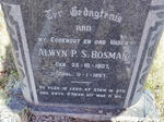 BOSMAN Alwyn P.S. 1907-1967