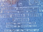 FABRICIUS Dirkie Jacoba Albertha 1890-1959