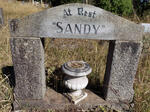? Sandy