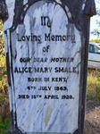 SMALE Alice Mary 1863-1928
