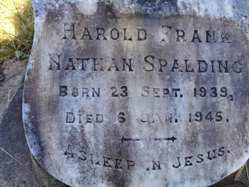 SPALDING Harold Frank Nathan 1939-1945