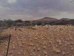 Northern Cape, HAY district, Koegas, Kwakwas 318, farm cemetery