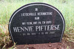 PIETERSE Hennie 1941-2006