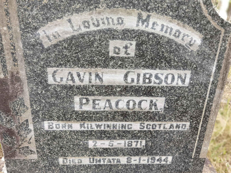 PEACOCK Gavin Gibson 1871-1944