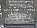 HATTINGH Pieter Johannes 1874-1939