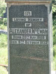 MCEWAN Alexander 1868-1932