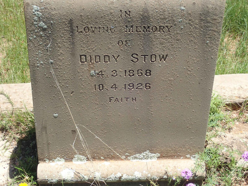 STOW Diddy 1868-1926