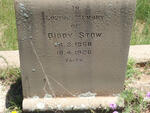 STOW Diddy 1868-1926