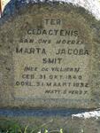 SMIT Marta Jacoba Sophia  nee DE VILLIERS 1849-1932