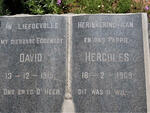 BOTHA David Hercules 1915-1969