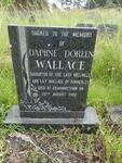 WALLACE Daphne Doreen -1982