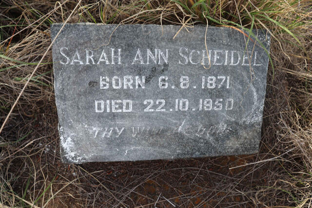 SCHEIDEL Sarah Ann 1871-1950