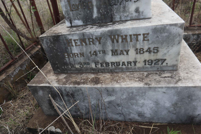 WHITE Henry 1845-1927