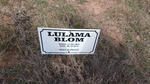 BLOM Lulama 1963-2014