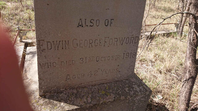 FORWORD Edwin George -1918