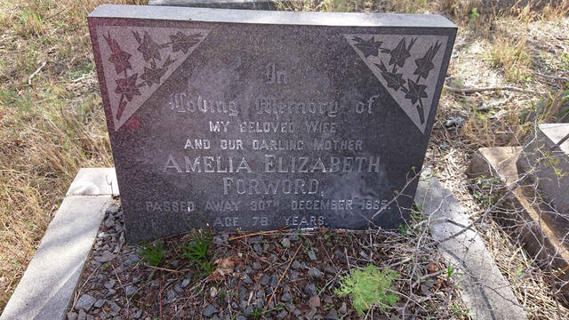 FORWORD Amelia Elizabeth -1965