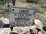 LAMANI Nomtandazo -1999