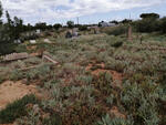 Western Cape, OUDTSHOORN district, Oudtshoorn, Onverwacht 143_3, farm cemetery