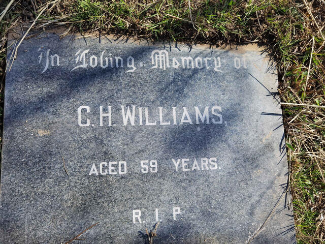WILLIAMS C.H.