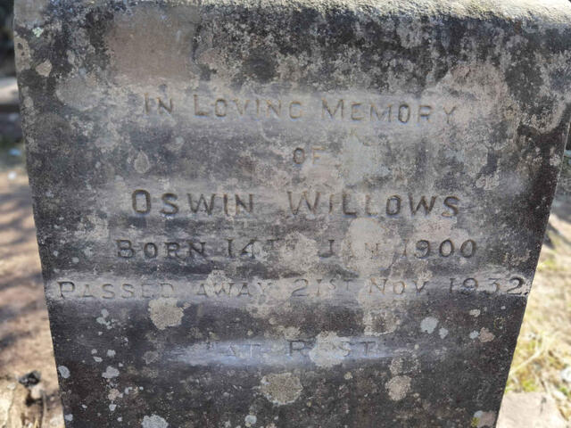 WILLOWS Oswin 1900-1932