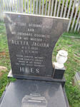 HEES Aletta Jacoba 1938-1975