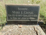 CRONJE Maria E. 1947-1954 :: CRONJE  1958-1958