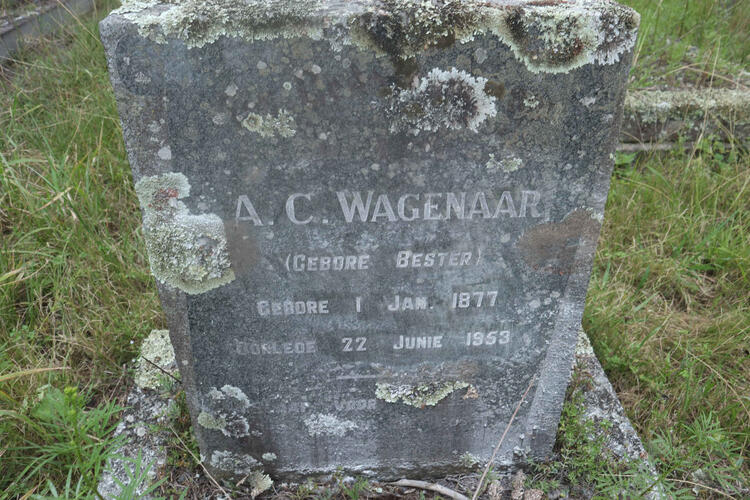 WAGENAAR A.C. nee BESTER 1877-1953