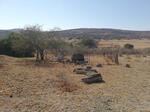 Eastern Cape, MPOFU district, Good Hope 978, Good Hope, farm cemetery