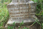 GREEN William Nelson -1913